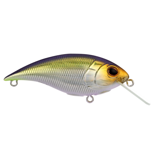 Berkley Shallow Money Badger 6.75
