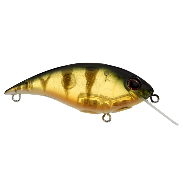 Berkley Shallow Money Badger 6.75