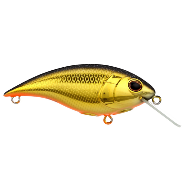 Berkley Shallow Money Badger 6.75