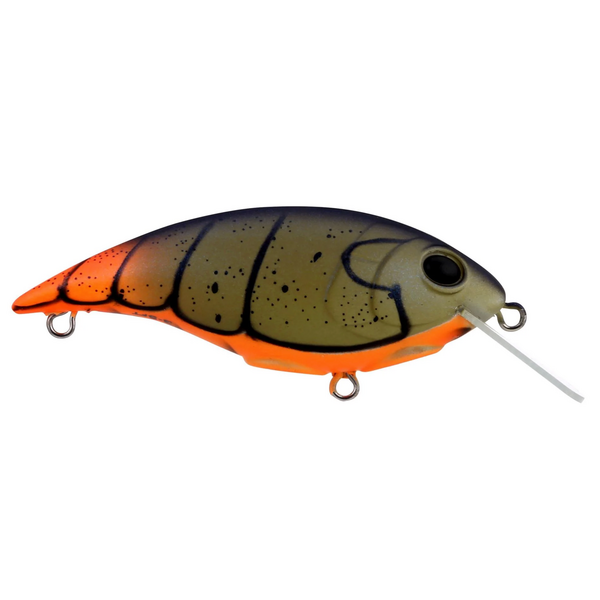 Berkley Shallow Money Badger 5