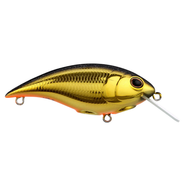 Berkley Shallow Money Badger 5