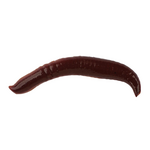 Berkley Gulp Pinched Crawler 2"