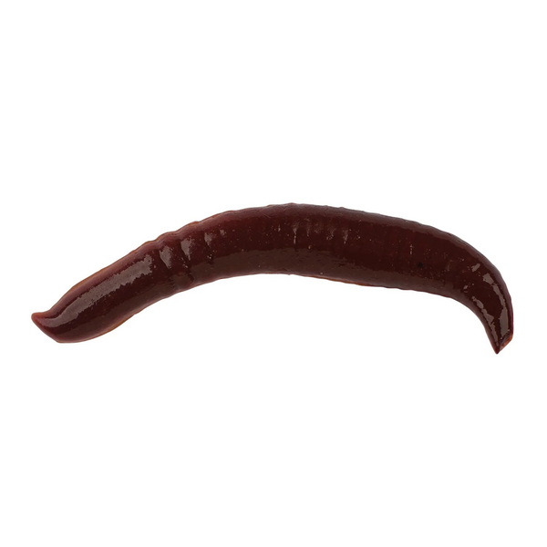 Berkley Gulp Pinched Crawler 2"