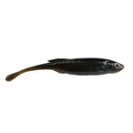 Berkley PowerBait Drip Minnow 3" 6-pk
