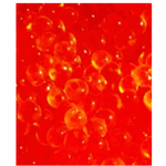 Premium Coho Roe 4oz