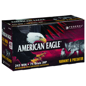 American Eagle .243 Win 75 Grain JHP 40 Round Box