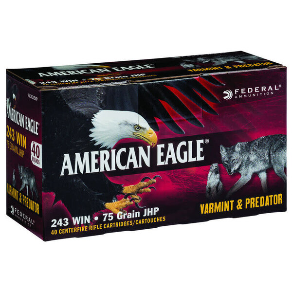 American Eagle .243 Win 75 Grain JHP 40 Round Box