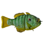 Synch Fishing Artisan Gill Swimbait