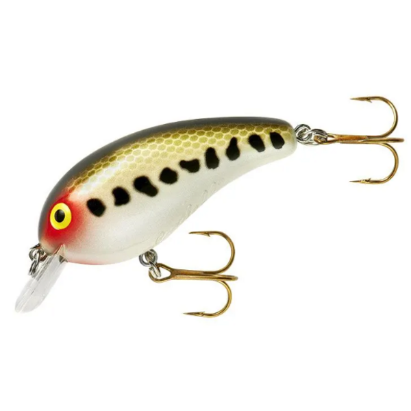 Cotton Cordell Big O