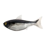 Live Target Shad  4.5"