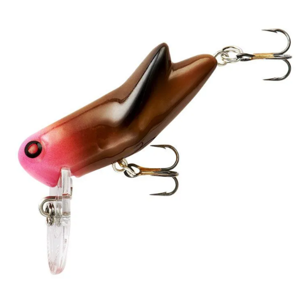 Rebel Crickhopper