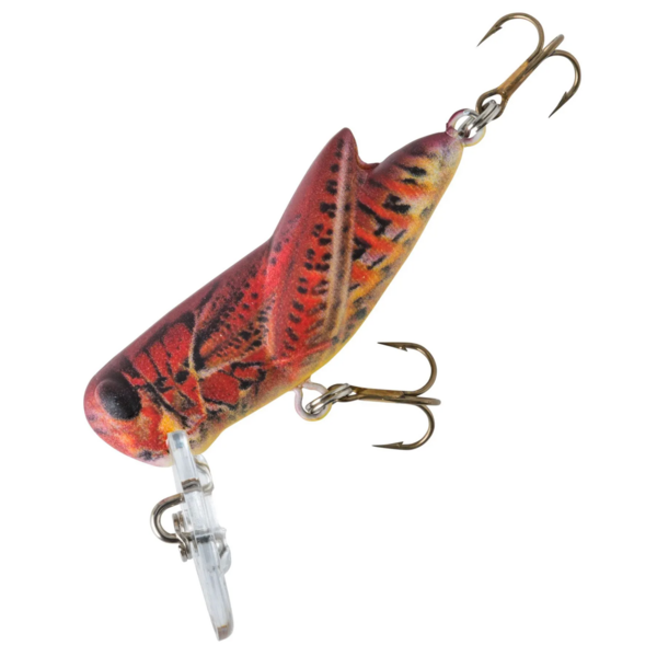 Rebel Crickhopper