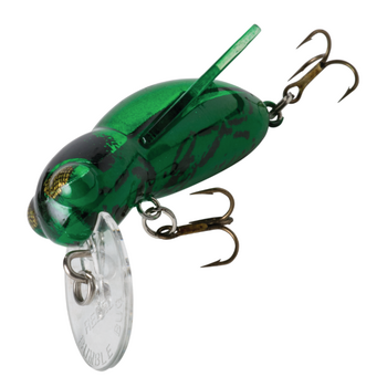 Rebel Bumble Bug. June Bug