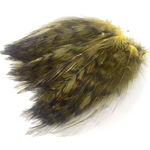 Wapsi Wapsi Barred Strung Neck Hackle. Olive 1/4oz
