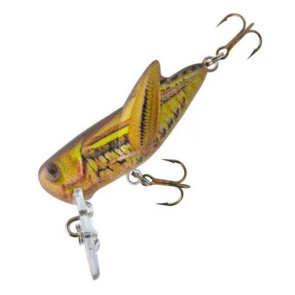 Rebel Crickhopper
