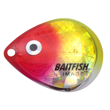 Northland Baitfish-Image® Colorado Blades #3
