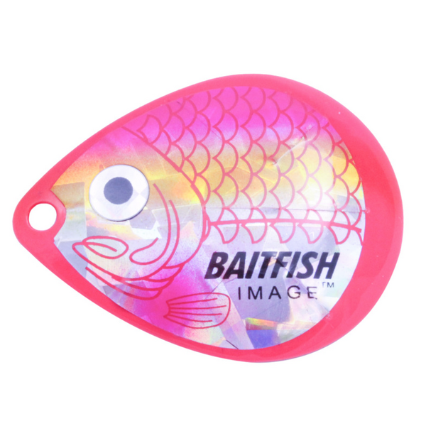 Northland  Baitfish-Image® Colorado Blades #3