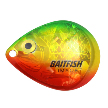 Northland Baitfish-Image® Colorado Blades #4