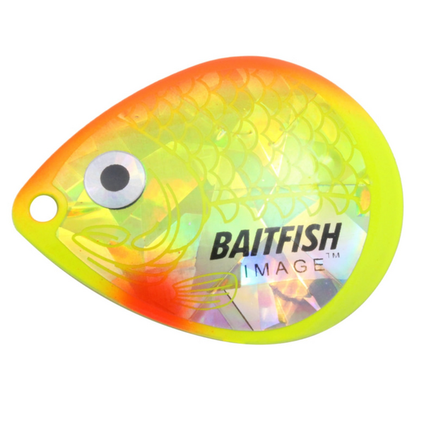 Northland Baitfish-Image® Colorado Blades #4
