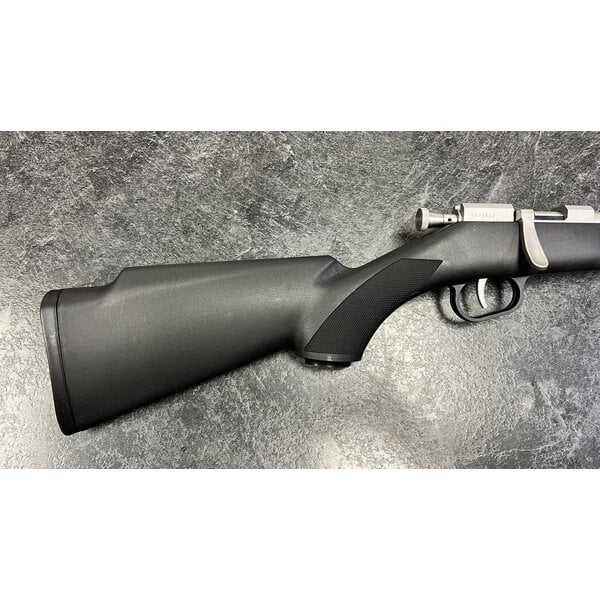 Henry Mini Bolt Stainless 22 LR Bolt Action Rifle