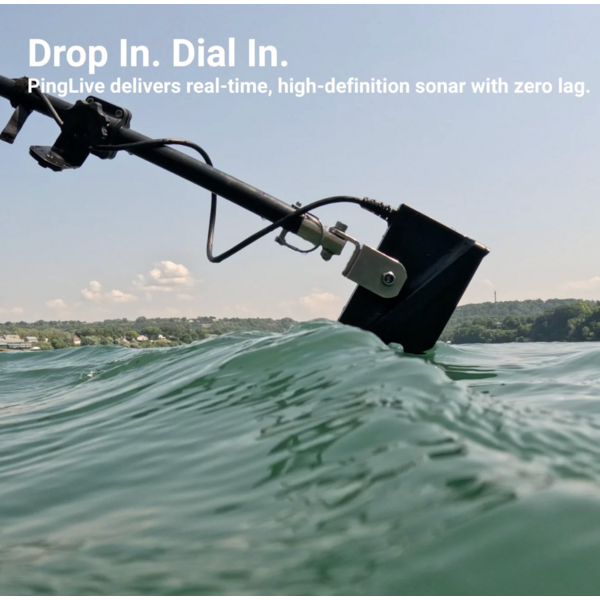 Accuphy PingLive Sonar