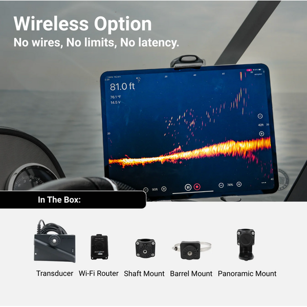 Accuphy PingLive Sonar