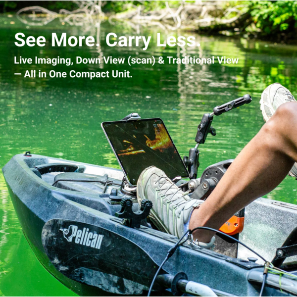 Accuphy PingLive Mini Sonar