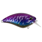 Duo Realis Apex Crank 66 Squared