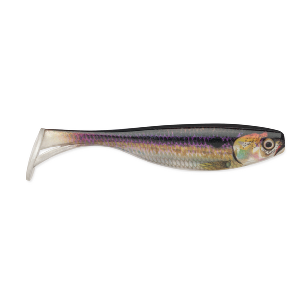 Storm Largo Shad Live Threadfin Shad 4"