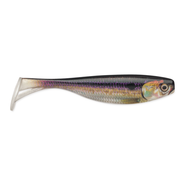 Storm Storm Largo Shad Live Threadfin Shad 3"