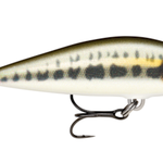 Rapala CountDown Elite 35 Gilded Minnow Special
