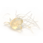 Raid Japan 1Way Hybrid