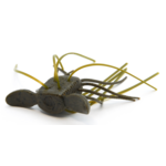 Raid Japan 1Way Hybrid