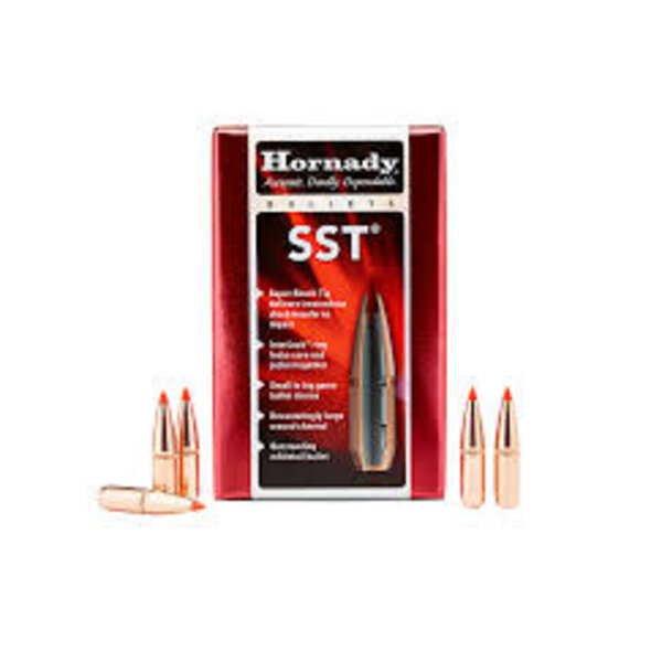 Hornady 30 Cal  180 gr SST .308" Bullets Qty 100