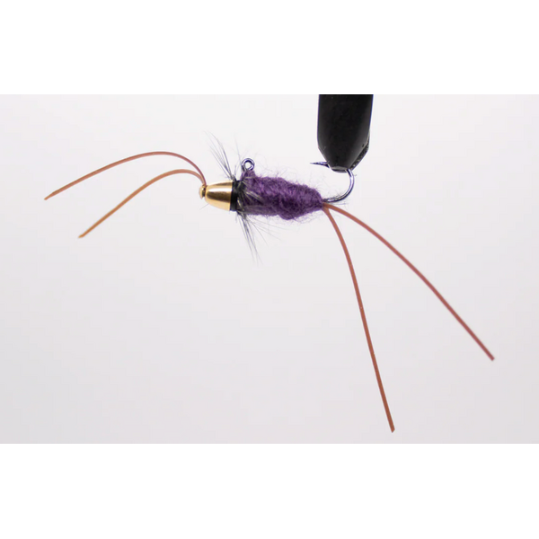 Bounty Tackle Jigz Apex