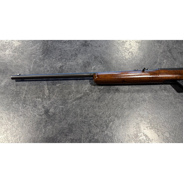 Winchester Model 77 22 LR Semi Auto w/Sights