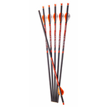 Ravin Crossbow Carbon  Arrows 400gr 6pkg