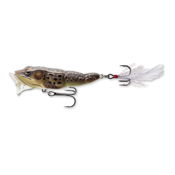 Live Target  Frog Popper  2 1/2"