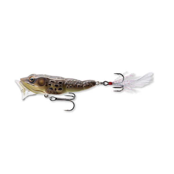 Live Target Frog Popper  3"