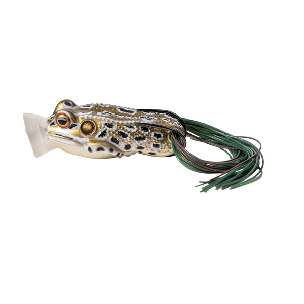 Live Target  Hollow Body Popping Frog 2"