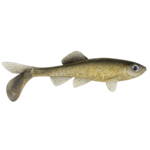 Berkley  PowerBait® Sick Fish 3"