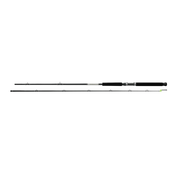 Daiwa Great Lakes Trolling Rod