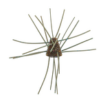 X Zone GBO 13mm Non-Salted (4 Pack)