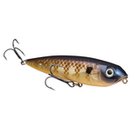 Strike King KVD Sexy Dawg Jr 3.75"