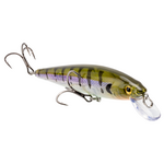 Strike King KVD Elite 200 Jerkbait