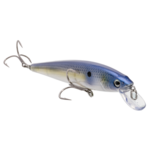 Strike King KVD Elite 200 Jerkbait