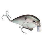 Strike King KVD Wake Bait 2.5