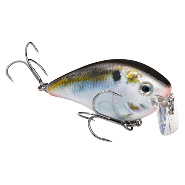 Strike King KVD Wake Bait 2.5