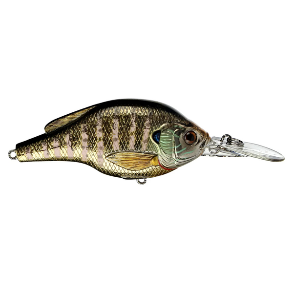 Live Target Sunfish Crankbait Shallow Dive 3-4'