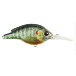 Live Target Sunfish Crankbait Shallow Dive 3-4'